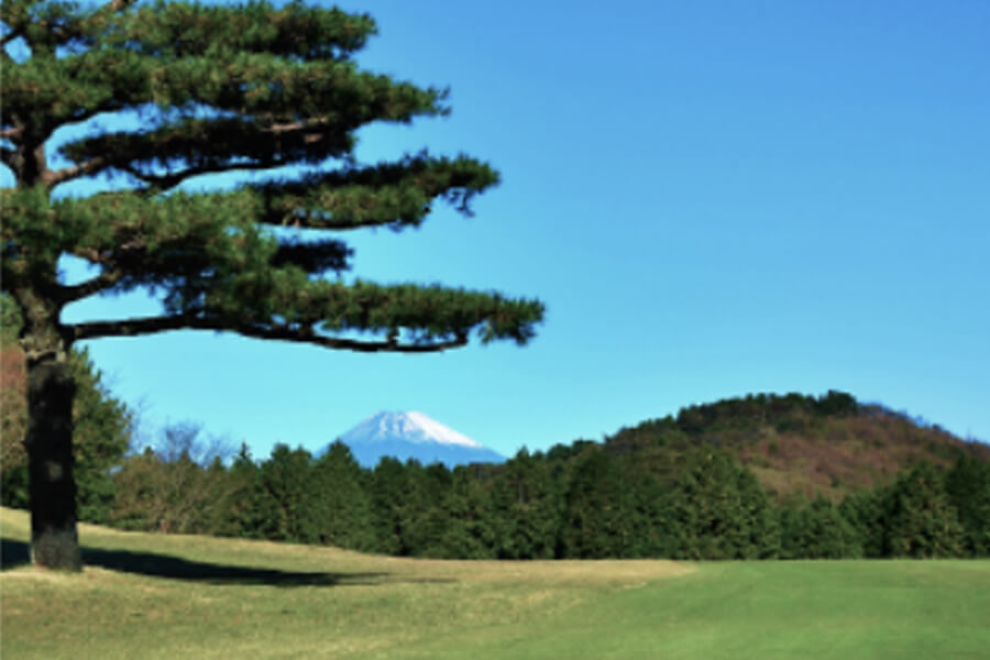 ゴルフコースと富士山